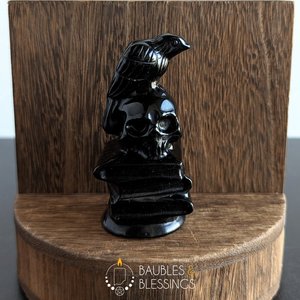 Obsidian Raven on Skull & Books