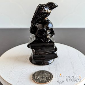 Obsidian Raven on Skull & Books
