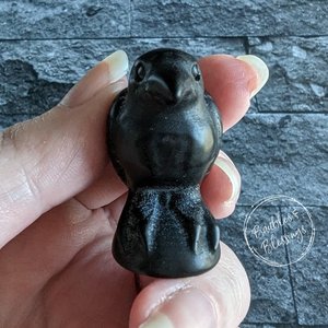 40mm Raven with Abstract Vulva Art