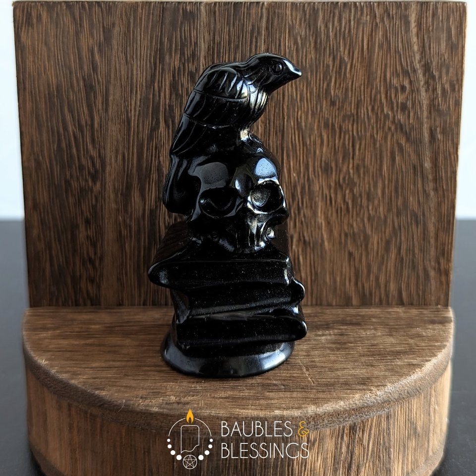 Obsidian Raven on Skull & Books